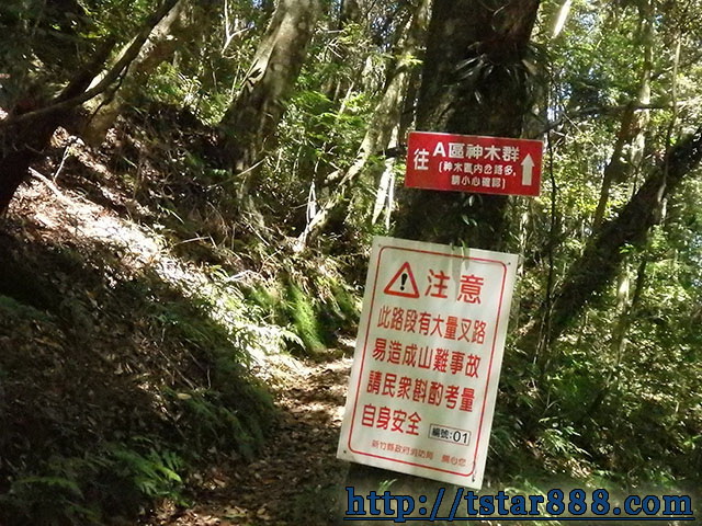 司馬庫斯